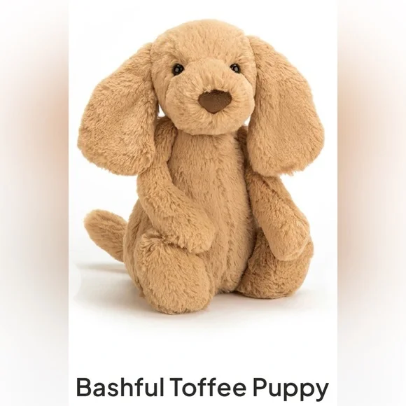Jellycat Bashful Toffee Puppy Size Medium - Picture 1 of 17